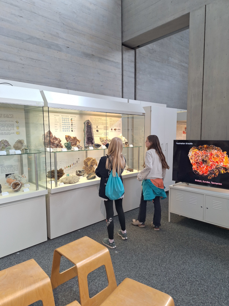 Geologische Entdeckungsreise ins Naturhistorische Museum Nürnberg