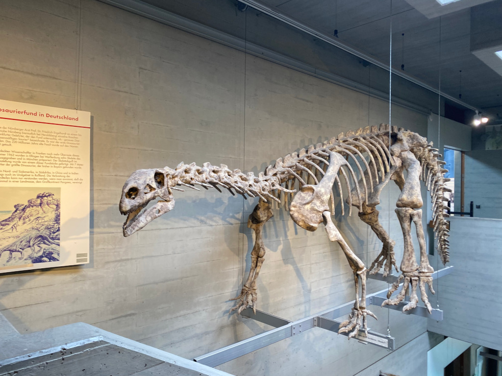 Geologische Entdeckungsreise ins Naturhistorische Museum Nürnberg
