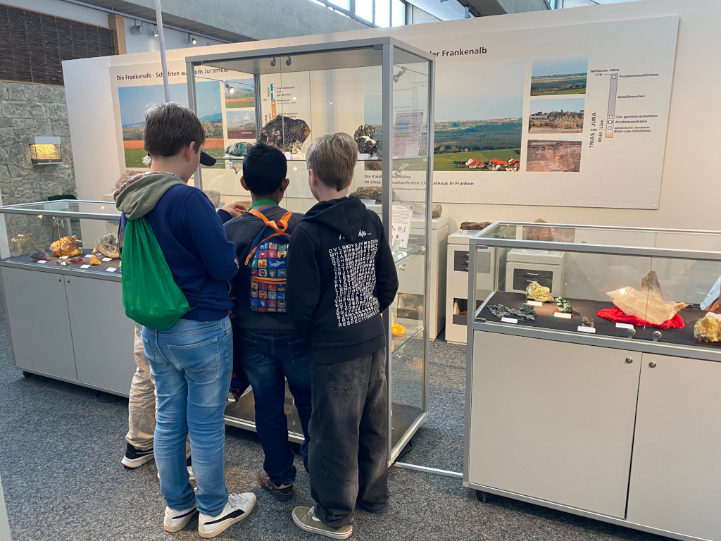 Geologische Entdeckungsreise ins Naturhistorische Museum Nürnberg