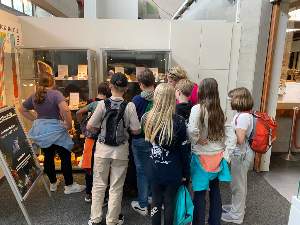 Geologische Entdeckungsreise ins Naturhistorische Museum Nürnberg