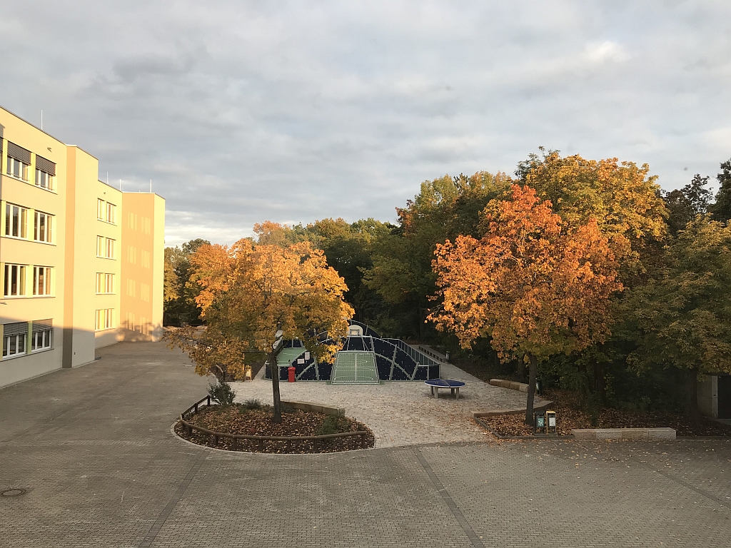 ASG in den Jahreszeiten