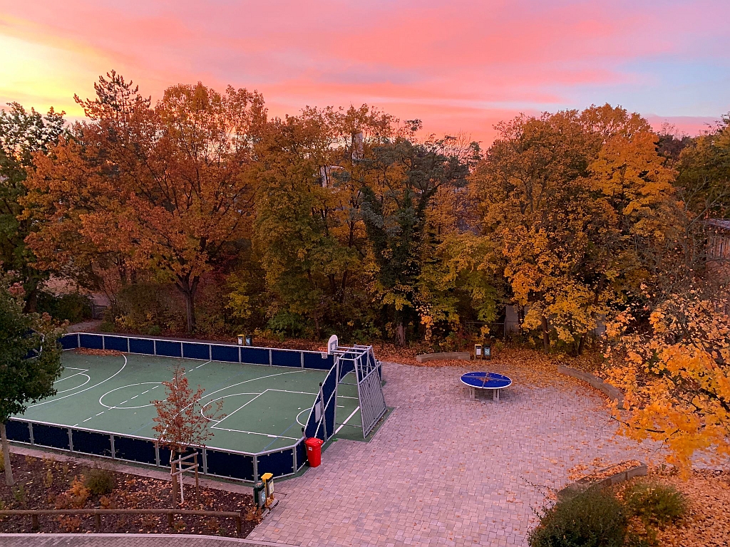 ASG in den Jahreszeiten