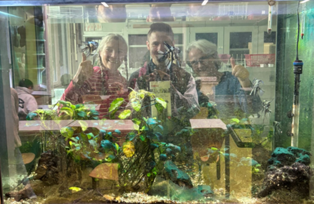 Das Schulaquarium erstrahlt im neuen Glanz