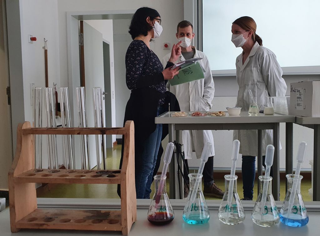 Ein ganz normales Schuljahr ...?