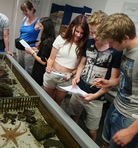 Meeresbiologie in Cinqueterre