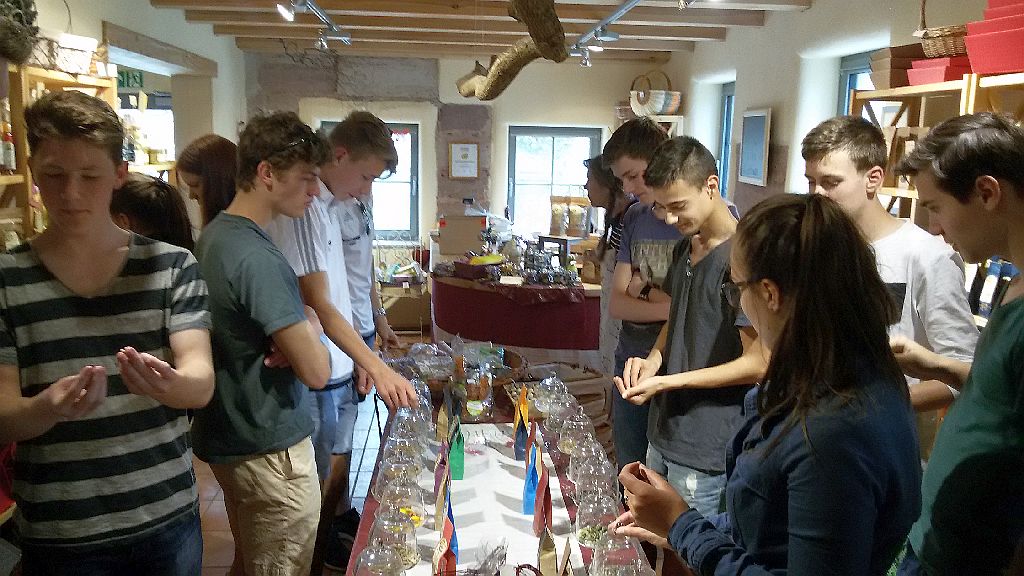 Auf dem K&uuml;rbishof