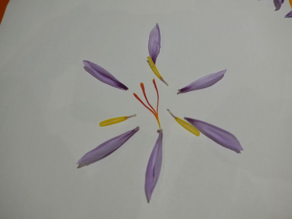 Ja, ist denn schon wieder Ostern?