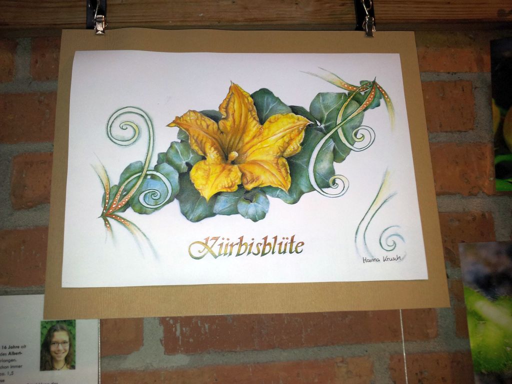 Die K&uuml;rbisse sind los!