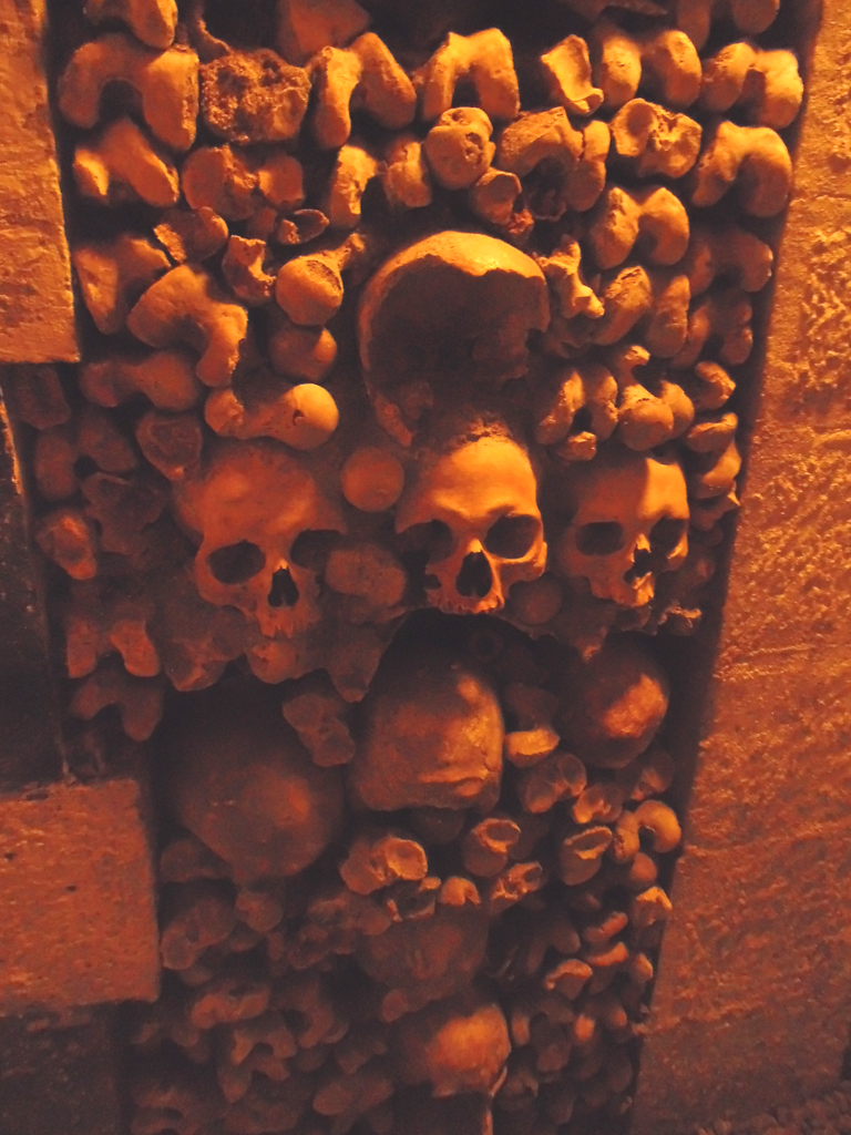 Studienfahrten der Q11