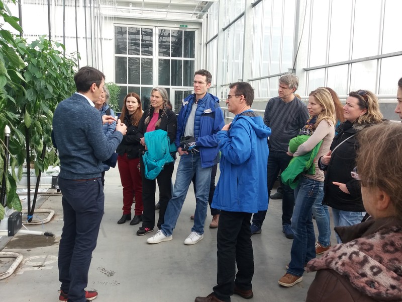 Technik aus Israel + Hybridpflanzen aus Holland = fr&auml;nkisches Gem&uuml;se