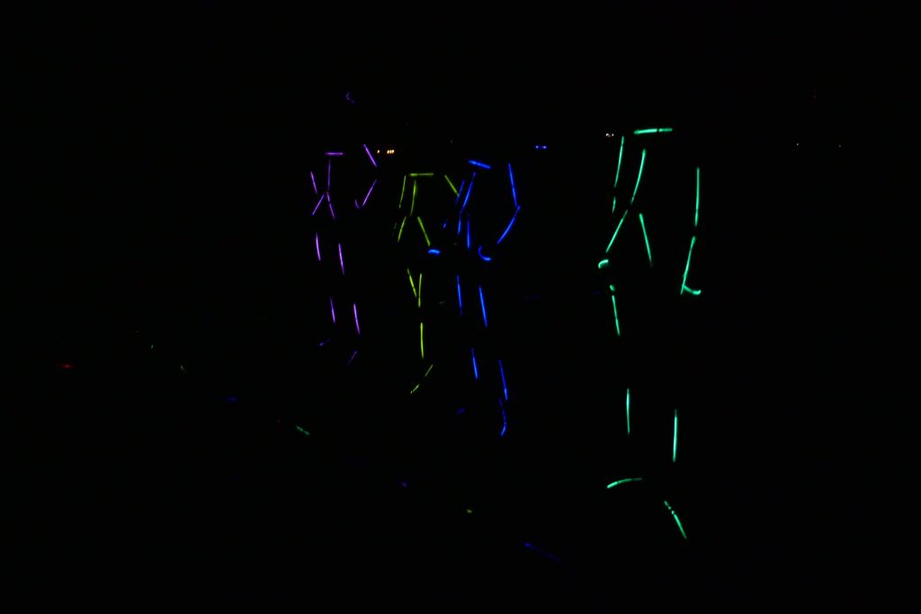 Klasse 5c im Schullandheim