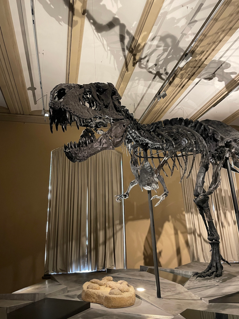 Berlinfahrt der Klassen 10b und 10c &ndash; Einblick in Politik, Wissenschaft und Kultur