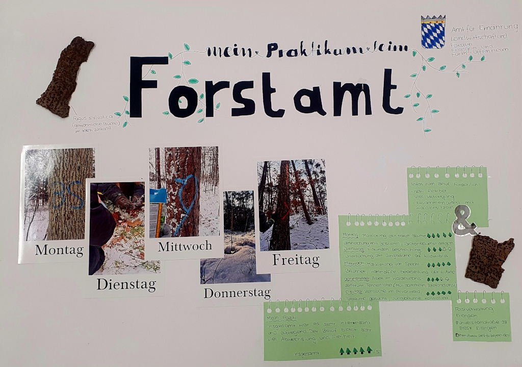 Betriebspraktikum der 9. Klassen 2024