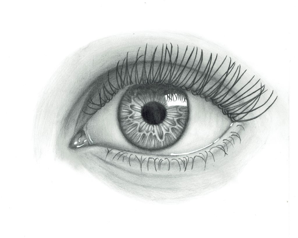 Das P-Seminar &bdquo;AUGENblick&ldquo; und die &bdquo;EinDollarBrille&ldquo;.