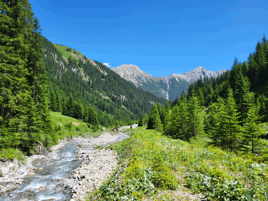 Einmal zu Fu&szlig; &uuml;ber die Alpen