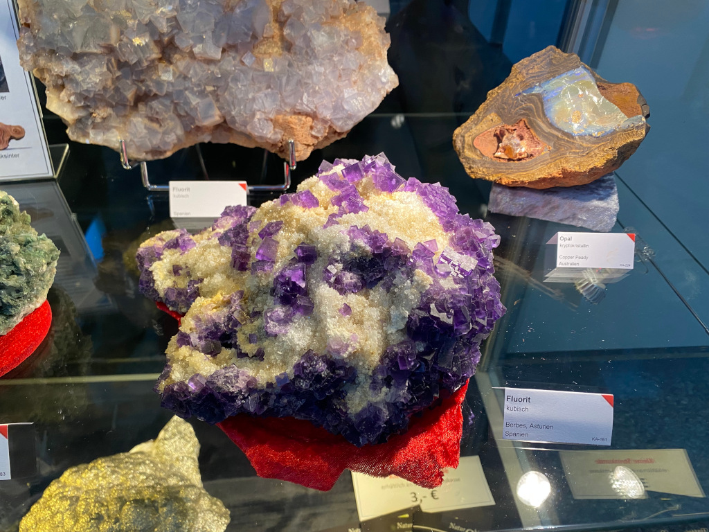 Geologische Entdeckungsreise ins Naturhistorische Museum N&uuml;rnberg