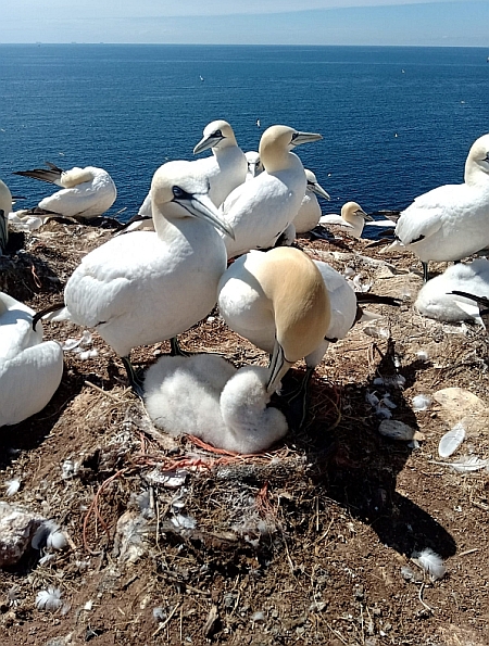 Impressionen von den Studienfahrten unserer Q11