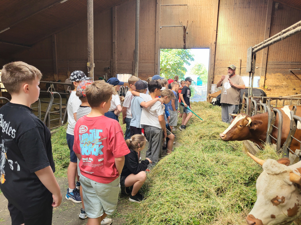 Landwirtschaft regional und wichtig!