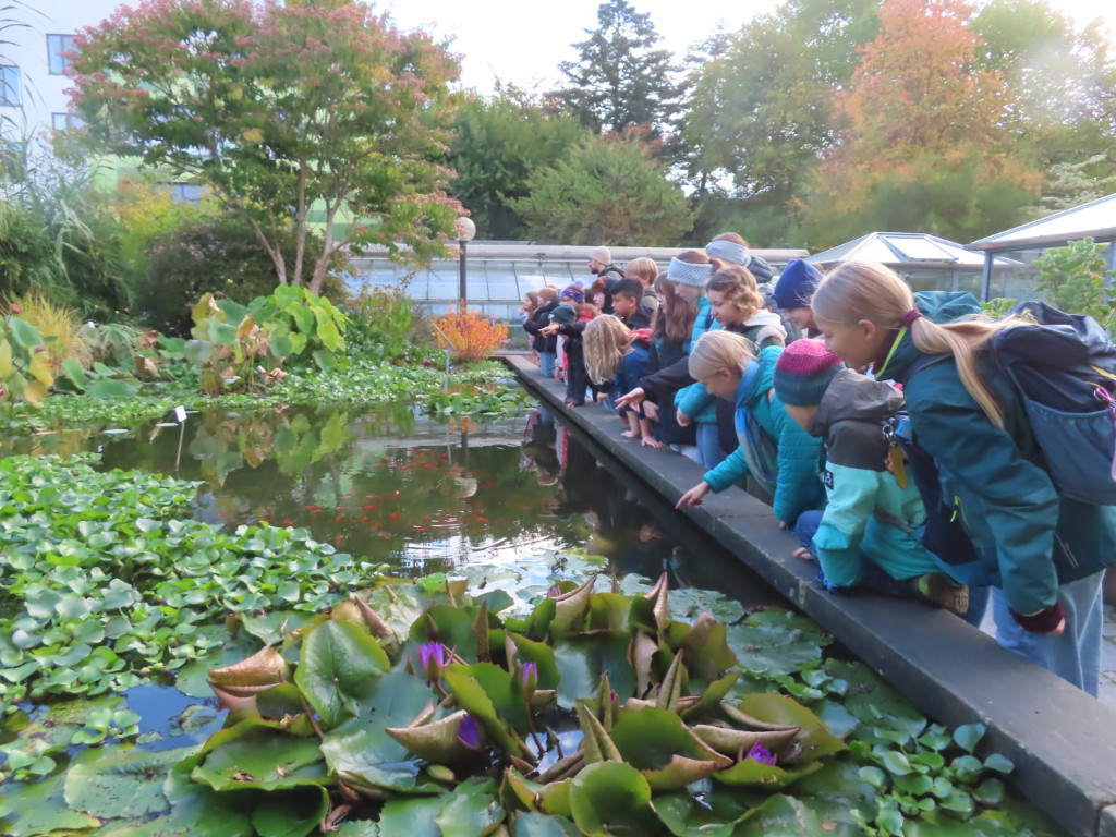 Nachhaltigkeitstag 2025
