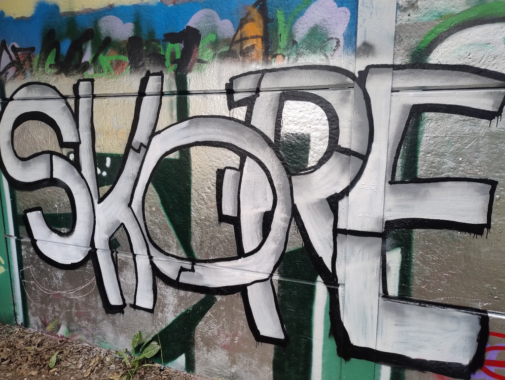 Spr&uuml;haktion des P-Seminars Legales Graffiti