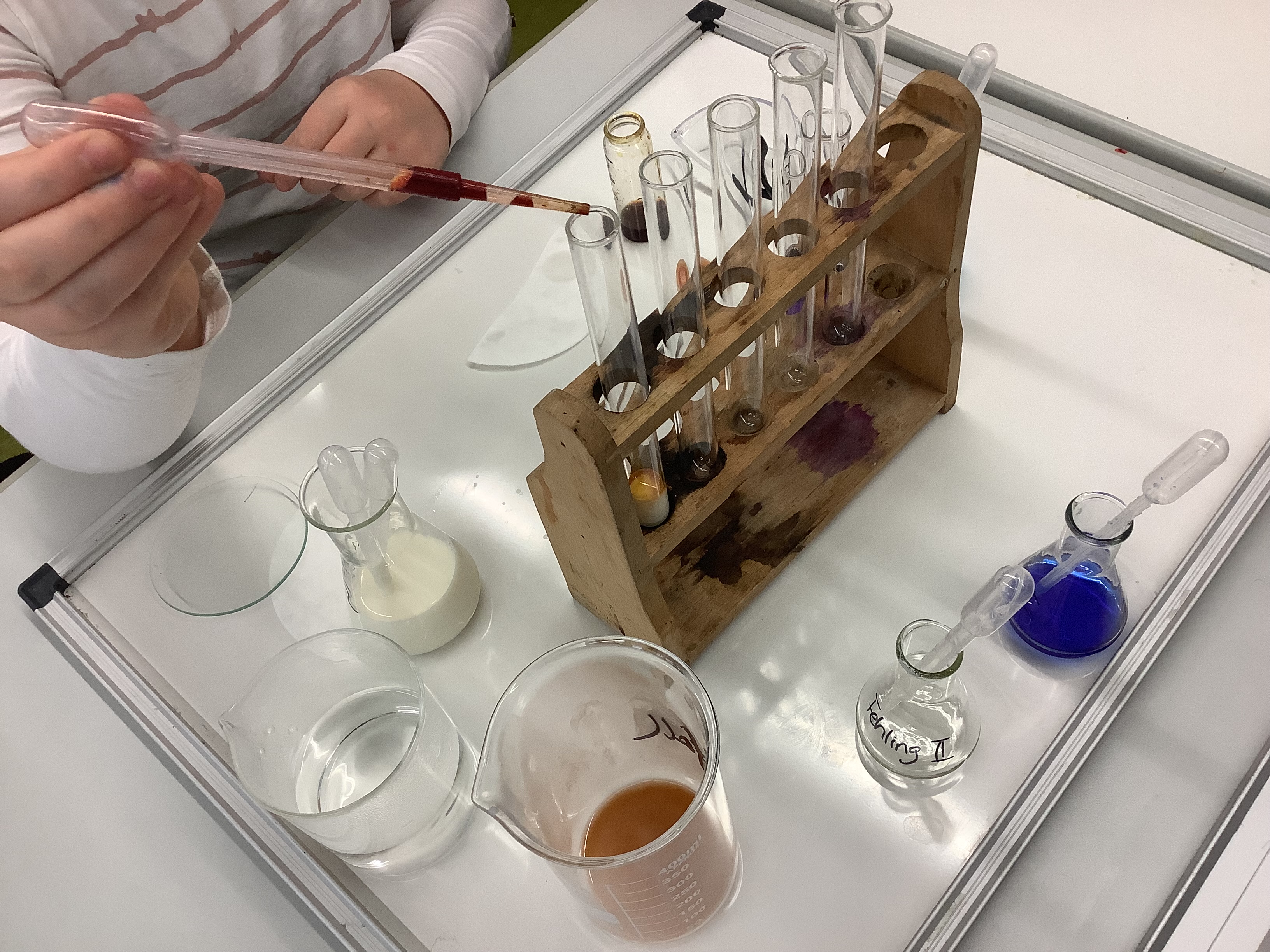 Studientag 2026 am ASG