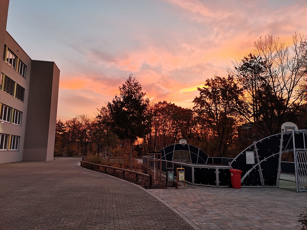 ... und malt die Bl&auml;tter an