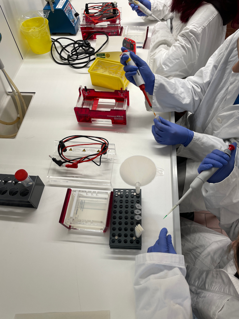 Vom Klassenzimmer ins Labor - Genetik erfahrbar machen