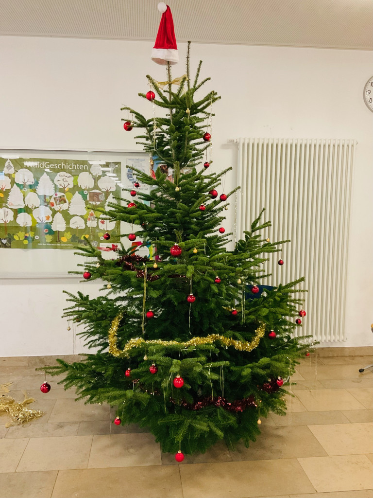 Weihnachtsbaum