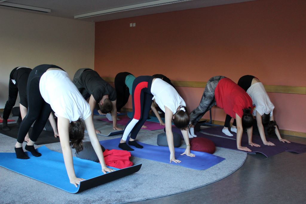 Entwicklungshilfe - doch wie