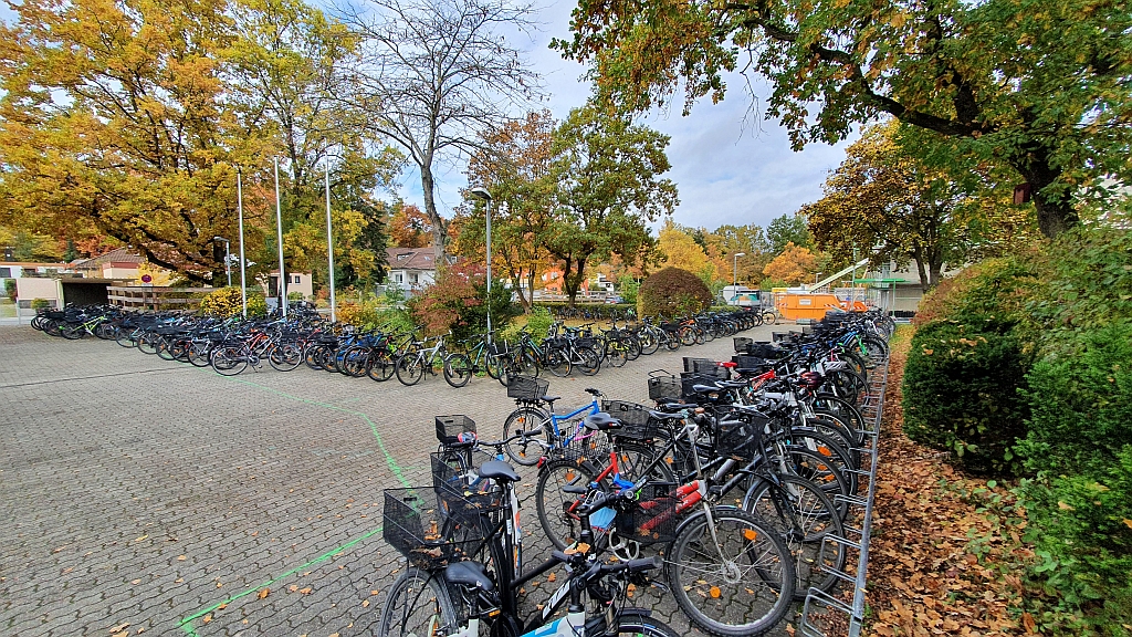 ASG in den Jahreszeiten