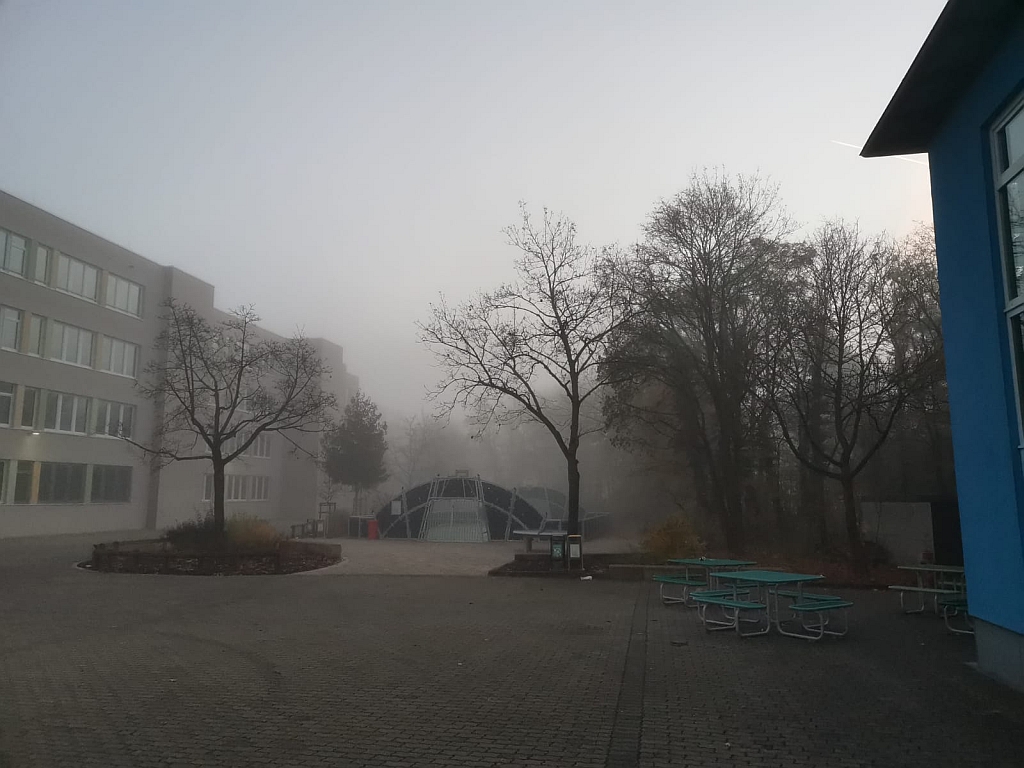 ASG in den Jahreszeiten