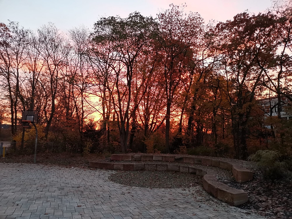 ASG in den Jahreszeiten