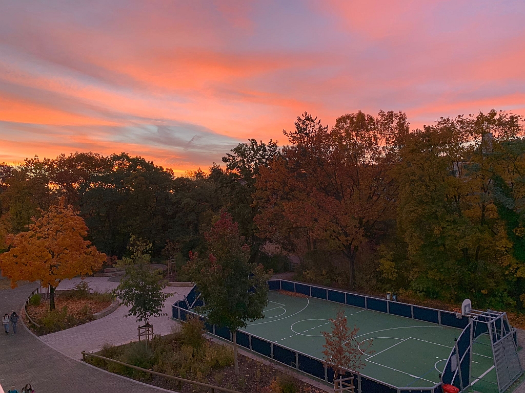 ASG in den Jahreszeiten